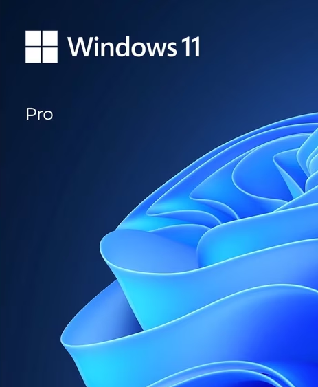 Windows 11 Professional Lifetime License Key